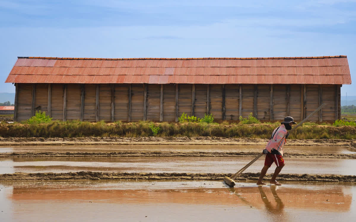 Salt Field Community Tour photo